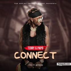 Connect by Terry G Papo