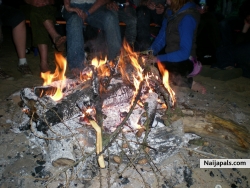 enjoy firewood in berlin camp