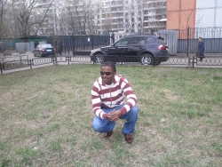 debull