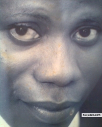 My pics