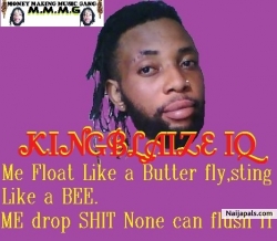 Kingblaize iQ