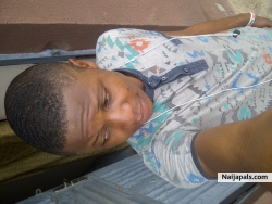 adeniran johnson seyi (johnson2015)