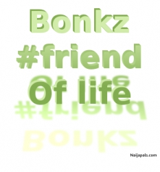 Bonko INC (BonkoINC)