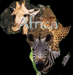 africa my africa