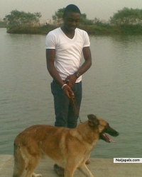dogs day out