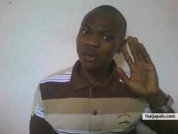 chima toribush (chims2020)