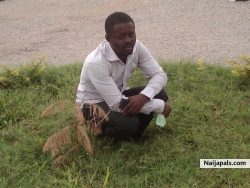 omotayo Taye