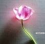 you comment