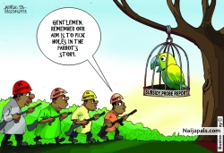 Say  It Nw