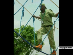 N.Y.S.C Tinz