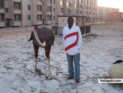 fadele salawu