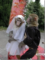 the world's memorable wedding ceremony