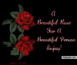 d-beauty
