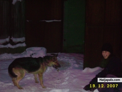 last winter