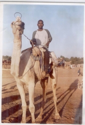 learning to be at home in geidam,yobe state,nigeria