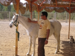 ayman elsherif (ayman39)