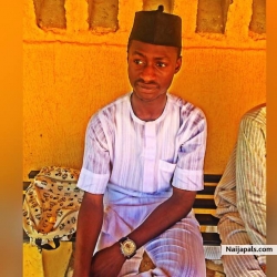 ibile 