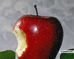 Apple Rules!