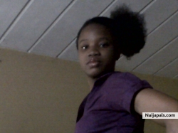 scu tins