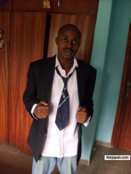 Wale Lamina 
