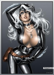 Pussy Cat