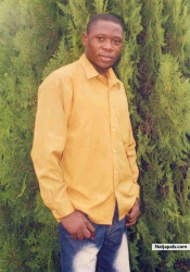 odigie francis u 