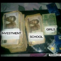 my plan for this year