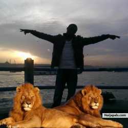 lions 4 real