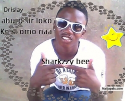 Drislay sharkzzy bee (Drislay)