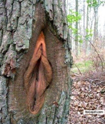 hand work of god