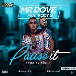 pause it by MR DOVE