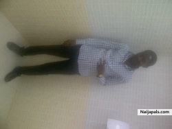 broy bobai www.fineboi.com