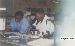 In my Lab.