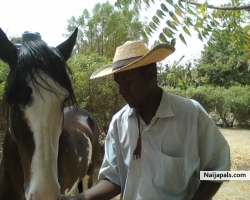 Ibrahim Umar Ali (Trichuris)