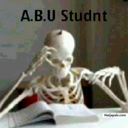 usman abiodun ismail (abiodun882)