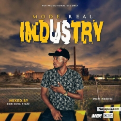 Industry by Mode Real 