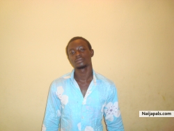 iranloye oluwatobi shola (dreemboi)