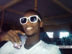 snowbird is my name
