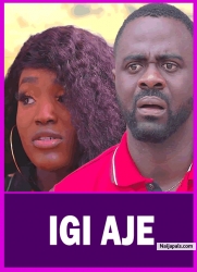 IGI AJE - Latest Yoruba Movie 2025 Drama ; Babatunde Aderinoye, Bukunmi Oluwashina, Bimbo Adebayo