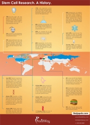 History of Stem Cell Research Infographic