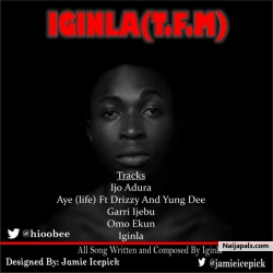 Naijmusic PR (hiobee)