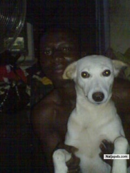 me and my pet