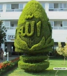 Kadiri Suleiman (Suleiman_kd)