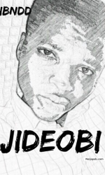 Emmanuel Abraham Jideobi (jide_obi)