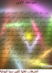 galal hussein (jeljel)