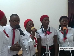 Cross Section of the members