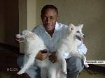 Akintoye (toye4you)