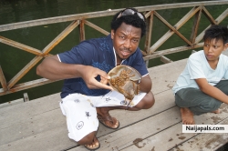 At Langkawi Island