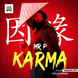 Karma by Mr. P