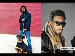 Insanity by Kwaw Kese feat 9ice